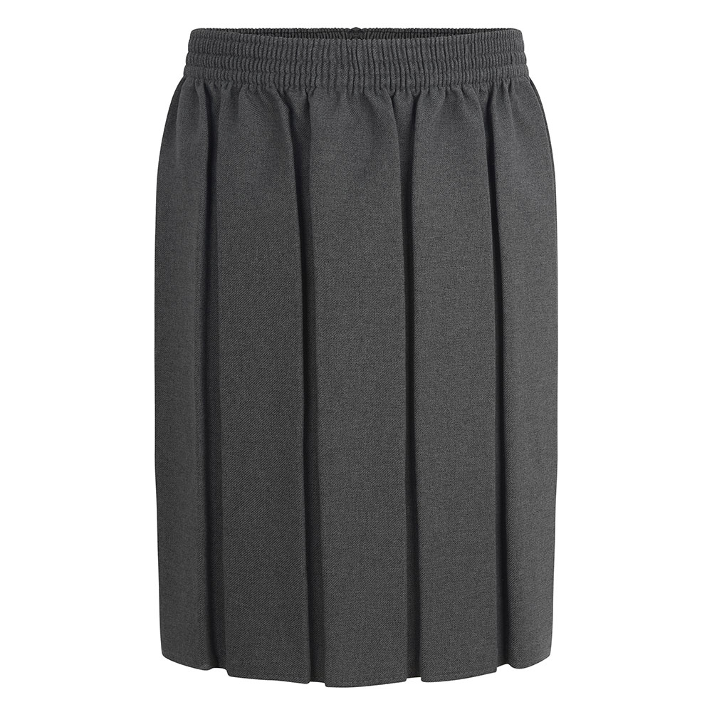 Girls Pleated Skirt
